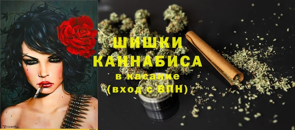 PSILOCYBIN Кинешма