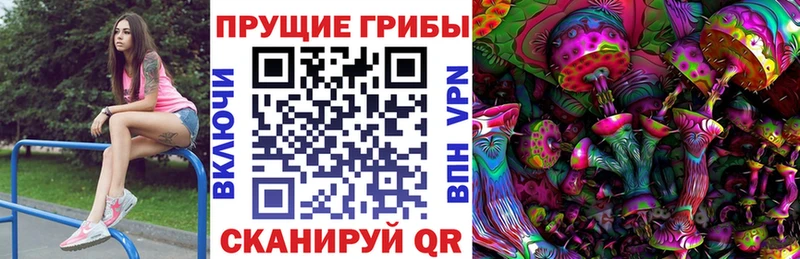 Псилоцибиновые грибы GOLDEN TEACHER  Купить закладки  Балаково 